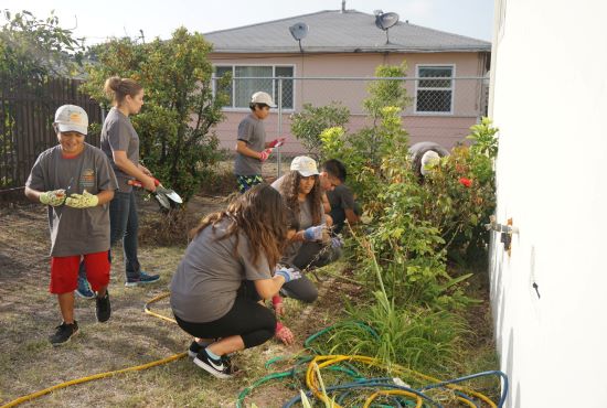 A group of youth and adult volunteers working in a community garden in San Diego